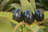 Polished  Black Basalt Gemstone Eggs x 6 From Antsirabe, Madagascar