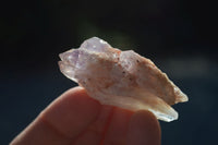 Natural Single Sugar Amethyst Crystals  x 70 From Zambia - Toprock Gemstones and Minerals 