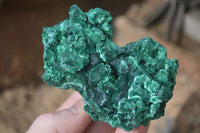 Natural Chatoyant Silky Malachite Specimens  x 6 From Kasompe, Congo