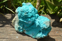 Natural Bright Blue Botryoidal Chrysocolla Specimens x 2 From Lupoto, Congo - TopRock