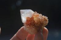 Natural Small Mixed Spirit Quartz Clusters  x 20 From Boekenhouthoek, South Africa - Toprock Gemstones and Minerals 