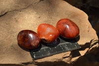 Polished Stunning Selection Of Carnelian Agate Palm Stones  x 20 From Madagascar - TopRock