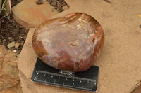 Polished Large Petrified Red Podocarpus Wood Hearts  x 2 From Mahajanga, Madagascar - TopRock