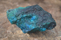 Natural Rough Shattuckite With Malachite & Cuprite Specimens  x 6 From Kaokoveld, Namibia - Toprock Gemstones and Minerals 