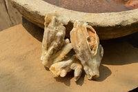 Natural Drusi Quartz Coated Calcite Pseudomorph Specimens  x 12 From Alberts Mountain, Lesotho - TopRock