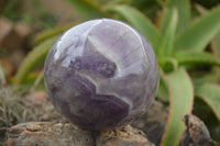 Polished Smokey Amethyst Spheres  x 2 From Madagascar - TopRock