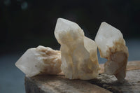 Natural Highly Selected Pineapple Candle Quartz Crystals  x 24 From Madagascar - Toprock Gemstones and Minerals 