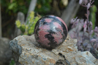 Polished Rhodonite Spheres x 2 From Ambindavato, Madagascar