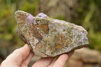 Natural Rough Stichtite / Atlantisite Specimens  x 3 From Tshipies, South Africa - TopRock