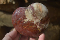 Polished Petrified Podocarpus Wood Hearts x 4 From Mahajanga, Madagascar