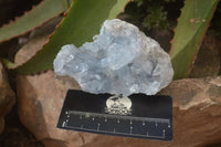 Natural Blue Celestite Crystal Specimens  x 6 From Sakoany, Madagascar