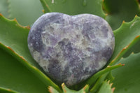 Polished Purple Lepidolite  Hearts  x 6 From Madagascar - Toprock Gemstones and Minerals 