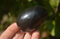 Polished  Black Basalt Gemstone Eggs x 6 From Antsirabe, Madagascar