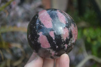 Polished Rhodonite Spheres x 2 From Ambindavato, Madagascar