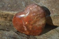 Polished Petrified Podocarpus Wood Hearts x 4 From Mahajanga, Madagascar