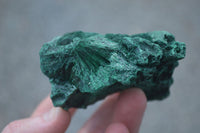 Natural Chatoyant Silky Malachite Specimens  x 6 From Kasompe, Congo - Toprock Gemstones and Minerals 