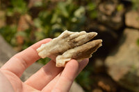 Natural Drusi Quartz Coated Calcite Pseudomorph Specimens  x 12 From Alberts Mountain, Lesotho - TopRock