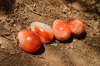 Polished Beautiful Selection Of Carnelian Agate Eggs  x 20 From Madagascar - TopRock