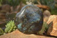 Polished  Large Puffy Labradorite Heart  x 1 From Tulear, Madagascar