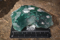 Polished One Side Polished Emerald Mtorolite Plates  x 6 From Mutorashanga, Zimbabwe - Toprock Gemstones and Minerals 