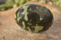 Polished  Spotted Leopard Stone Gallets  x 6 From Zimbabwe