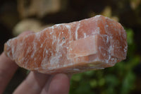 Natural New Sunset Orange Calcite Specimens  x 12 From Spitzkop, Namibia