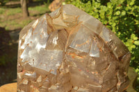 Polished Gorgeous XXL Elestial Smokey Window Quartz Crystal With Cascading Tabular Crystals x 1 From Madagascar - TopRock