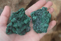 Natural Chatoyant Silky Malachite Specimens  x 6 From Kasompe, Congo