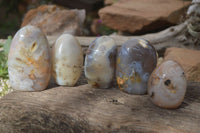 Polished Agate Standing Free Forms x 5 From Madagascar