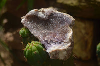 Natural Amethyst & Crystal Centred Geodes  x 12 From Zululand, South Africa - TopRock