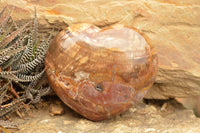 Polished Large Petrified Red Podocarpus Wood Hearts  x 2 From Mahajanga, Madagascar - TopRock