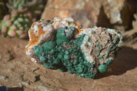 Natural Rare Ball Malachite On Drusy Quartz & Dolomite Specimens x 6 From Kambove, Congo