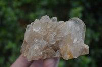 Natural Cascading Pale Citrine Clusters  x 3 From Luena, Congo - Toprock Gemstones and Minerals 