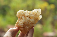 Natural Pineapple/Candle Quartz Clusters  x 14 From Madagascar - TopRock