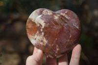 Polished Petrified Podocarpus Wood Hearts x 4 From Mahajanga, Madagascar