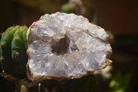 Natural Amethyst & Crystal Centred Geodes  x 12 From Zululand, South Africa - TopRock