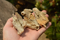 Natural Drusi Quartz Coated Calcite Pseudomorph Specimens  x 12 From Alberts Mountain, Lesotho - TopRock