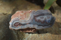 Polished Banded River Agate Nodules  x 6 From Sashe River, Zimbabwe - Toprock Gemstones and Minerals 