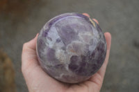 Polished Smokey Amethyst Spheres  x 2 From Madagascar - TopRock