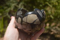 Polished Septaria Dragons Egg x 1 From Mahajanga, Madagascar - TopRock