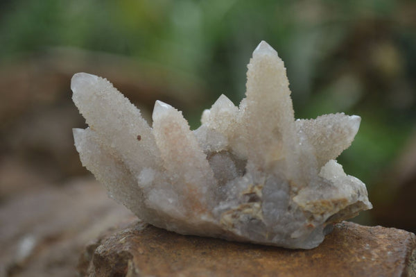 Natural Mixed Spirit Quartz Clusters  x 24 From Boekenhouthoek, South Africa - TopRock