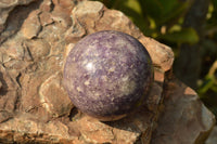 Polished Lovely Purple Lepidolite Spheres  x 4 From Madagascar - TopRock