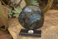 Polished  Large Puffy Labradorite Heart  x 1 From Tulear, Madagascar