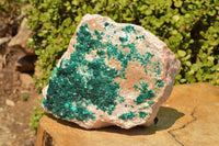 Natural Classic XXL Dioptase Museum Specimen x 1 From Tantara, Congo - TopRock