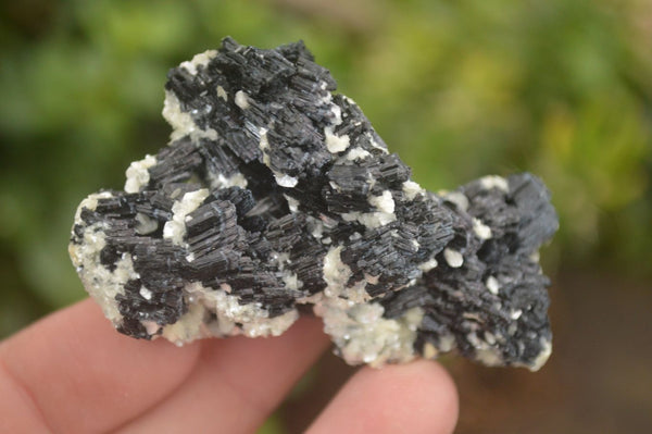 Natural Schorl Black Tourmaline Specimens x 12 From Erongo, Namibia