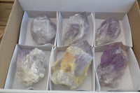 Natural Jacaranda Amethyst Crystals x 6 From Mumbwe, Zambia