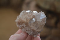 Natural Smokey Phantom Quartz Clusters x 12 From Luena, Congo