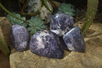 Polished Purple Lepidolite Standing Free Forms  x 4 From Madagascar