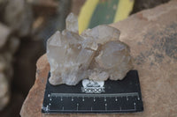 Natural Cascading Pale Citrine Clusters  x 3 From Luena, Congo - Toprock Gemstones and Minerals 