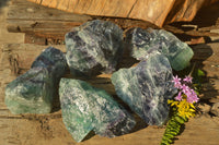 Natural Cobbed & Stone Sealed Watermelon Fluorite Pieces x 5 From Uis, Namibia - TopRock